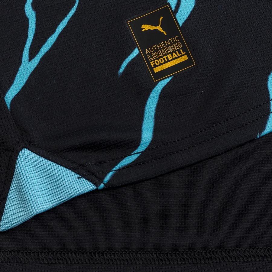 MANCHESTER CITY THIRD JERSEY STADIUM 2023/24 MEN`S Soccer