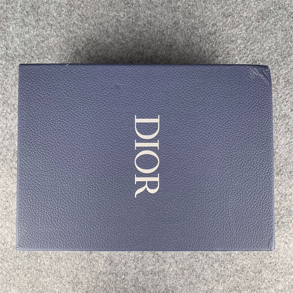 Dior B23 Low 'Oblique - White'
