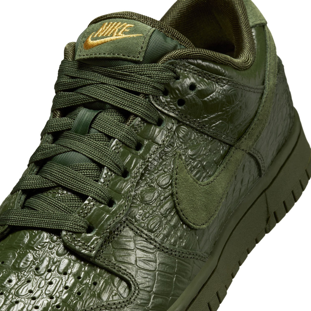 Nike Dunk Low HV4388-300