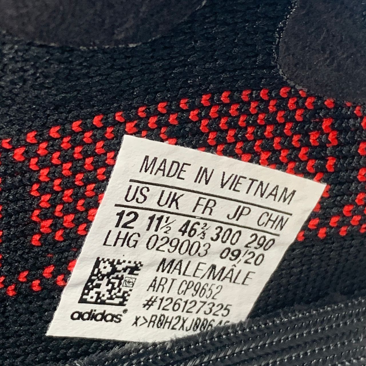Adidas Yeezy Boost 350 V2 'Bred' Shoe