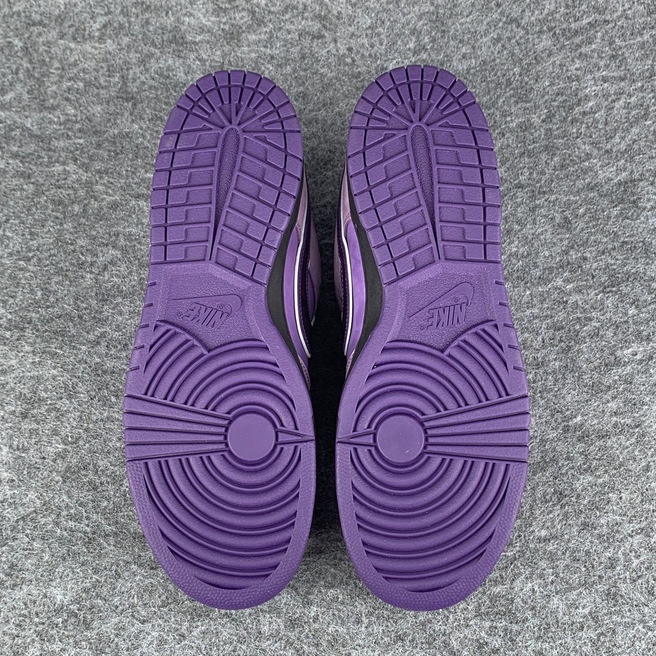 Concepts x Dunk Low SB 'Purple Lobster' Shoe