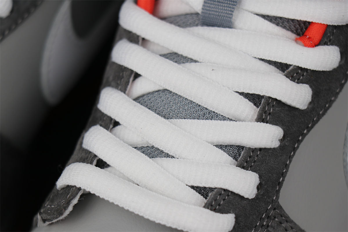 Jeff Staple x Dunk Low Pro SB 'Pigeon' Shoe